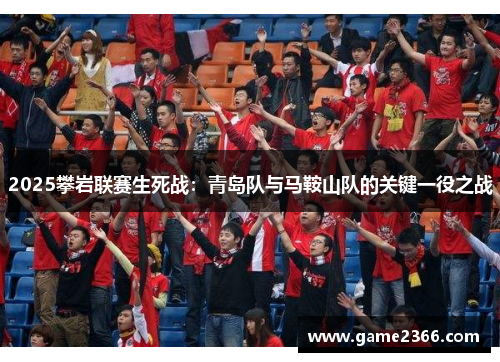 2025攀岩联赛生死战：青岛队与马鞍山队的关键一役之战