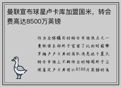曼联宣布球星卢卡库加盟国米，转会费高达8500万英镑